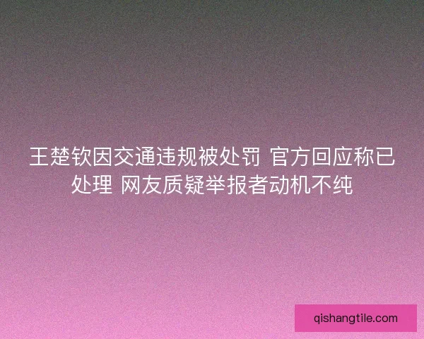 王楚钦因交通违规被处罚 官方回应称已处理 网友质疑举报者动机不纯 王楚钦因交通违规被处罚 官方回应称已处理 网友质疑举报者动机不纯