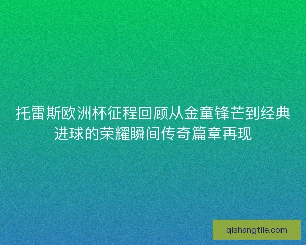 托雷斯欧洲杯征程回顾从金童锋芒到经典进球的荣耀瞬间传奇篇章再现